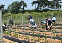 줄이는 노동, 커지는 행복! 영광읍 농촌 일손 돕기 활약