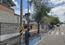 영광군, 미국흰불나방 등 가로수 병해충 방제 총력 대응