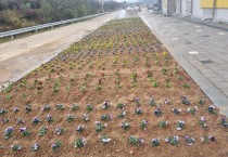 군남면, 쓰레기 불법 투기지역 양심화단 조성