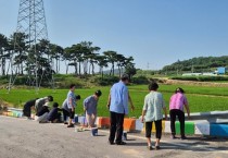 대마면 청정전남 으뜸마을 만들기, 쓰레기 적치장 등 꽃밭 조성으로 마을 안길 환경 탈바꿈