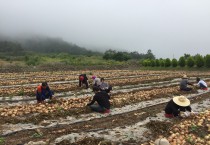 영광군 인구일자리정책실, 농촌일손돕기 동참