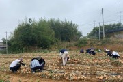 종합민원실, 농촌 일손돕기로 농가에 희망 전달