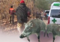 군남 용암마을서 주민A씨 멧돼지 습격으로 ‘중상’