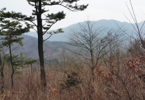 영광경찰서 신속한 대응  늦은 밤 산속에서 길 잃은 어르신 극적 구조