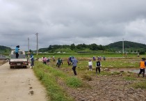 군서면, 희망일자리사업 근로자와 함께 수해복구 지원