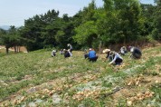 영광군 상하수도사업소, 농촌 일손 돕기 실시