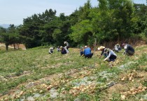 영광군 상하수도사업소, 농촌 일손 돕기 실시