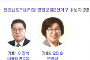 전남도의원 2선거구 결과, 이장석 당선