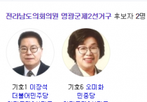 전남도의원 2선거구 결과, 이장석 당선