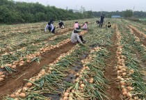 영광군 농정과, 농촌 일손돕기 추진