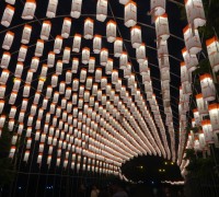 제18회 영광불갑산상사화축제 소원燈(등) 달기 신청하세요!