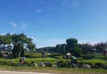 추석맞이 깨끗한 군서 만들기 활동 전개