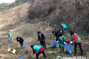 ‘쾌적하고 깨끗한 묘량면 만들기’ 봄맞이 일제 대청소 실시