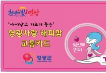 영광군, 임신부 교통카드 30만원 지원