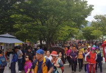 영광불갑산상사화축제, 2019년 전라남도 대표축제 선정