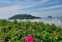 영광군, 백수(白岫)해안도로 ‘해당화 자연 포토존'조성