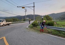 영광읍, 주요 도로변 풀베기 작업 추진