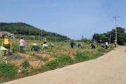 영광군 원예축산과, 양파재배 농가 일손 돕기로 구슬땀