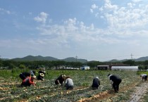 영광군 상하수도사업소, 양파 농가 일손 지원