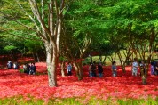 영광불갑산상사화축제, 2022년 전라남도 대표축제 선정