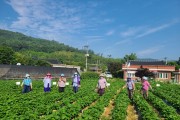 영광군, 전라남도 마을공동체 공모사업 25개소 선정