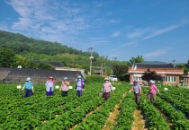 영광군, 전라남도 마을공동체 공모사업 25개소 선정