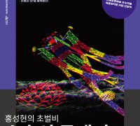 홍성현의 초벌비「수호신 골매기」공연