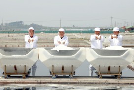 영광군, 풍년기원 천일염 채염 행사 개최