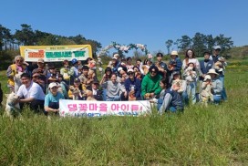 2025 청년봉사단 ‘같이’, 제1회 댕댕이 꽃마을 입양제서 유기견 봉사활동 펼쳐