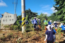 서울대학교 사회과학대 학생들, 불갑면에서 농촌 일손 돕기 구슬땀