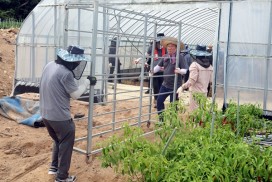 함께 일어서는 영광군, 군수·간부 수해복구 위해 구슬땀!