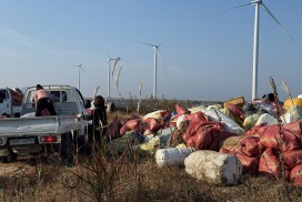 백수읍 어머니봉사대, 깨끗한 바다 가꾸기 위해 해양환경 정화활동 펼쳐