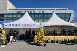 대마면 국화동아리, 2025 국화 전시회 성황리 개최