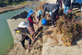 염산면, 쓰레기 상습 투기지역에 철쭉 300주 식재
