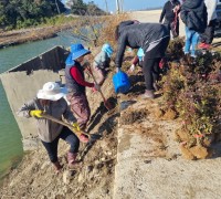 염산면, 쓰레기 상습 투기지역에 철쭉 300주 식재