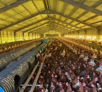 영광군, 여름철 가축 재해피해 예방 총력