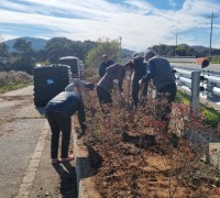묘량면, 쓰레기 상습 투기지역 양심화단 조성