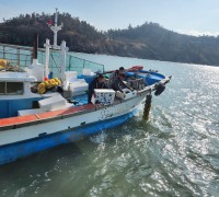 영광군, 안마도 해역에 전복 종자 4만 마리 방류…연안 수산자원 회복 박차