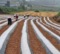 영광시니어클럽, 은빛농장 노인일자리 사업 성공적 운영