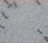 영광에 벌레가 득실득실…‘송충이’ 확산에 주민 불편 심화