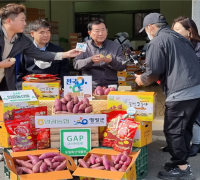 영광농협 GAP인증 농산물 산지 현장 라이브커머스 농산물 판매